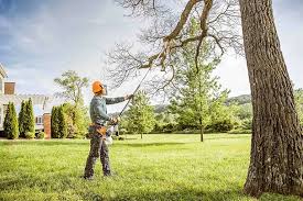 Best Tree Mulching  in Lennox, CA